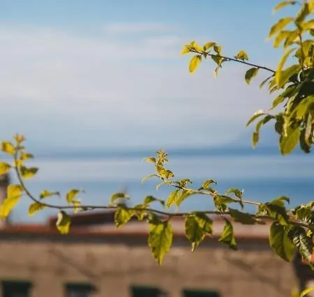 With A Parking Space Podgora, Makarska - 6646 Apartment